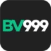Bv999 game